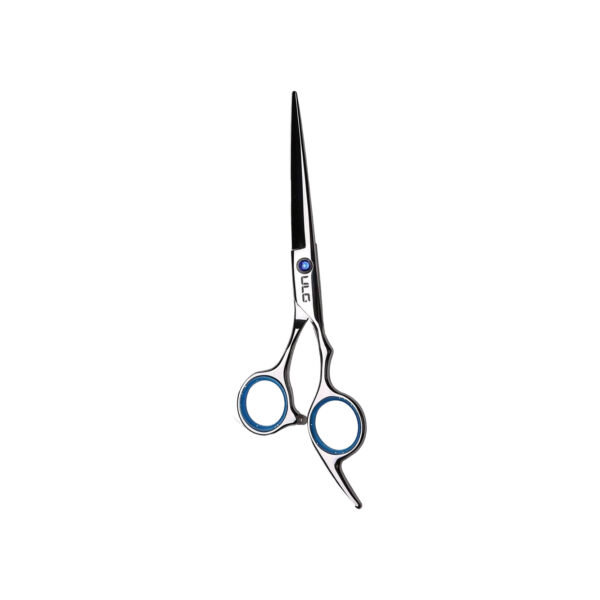 PROFESSIONAL STAINLESS STEEL SCISSORS